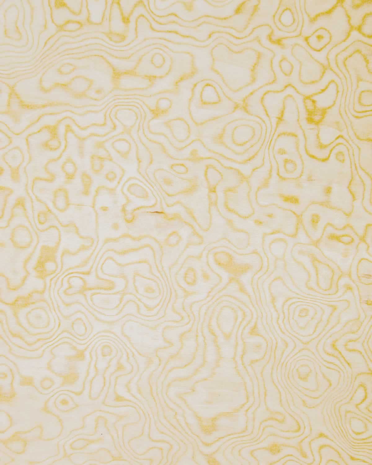 SanFoot Basswood Burl